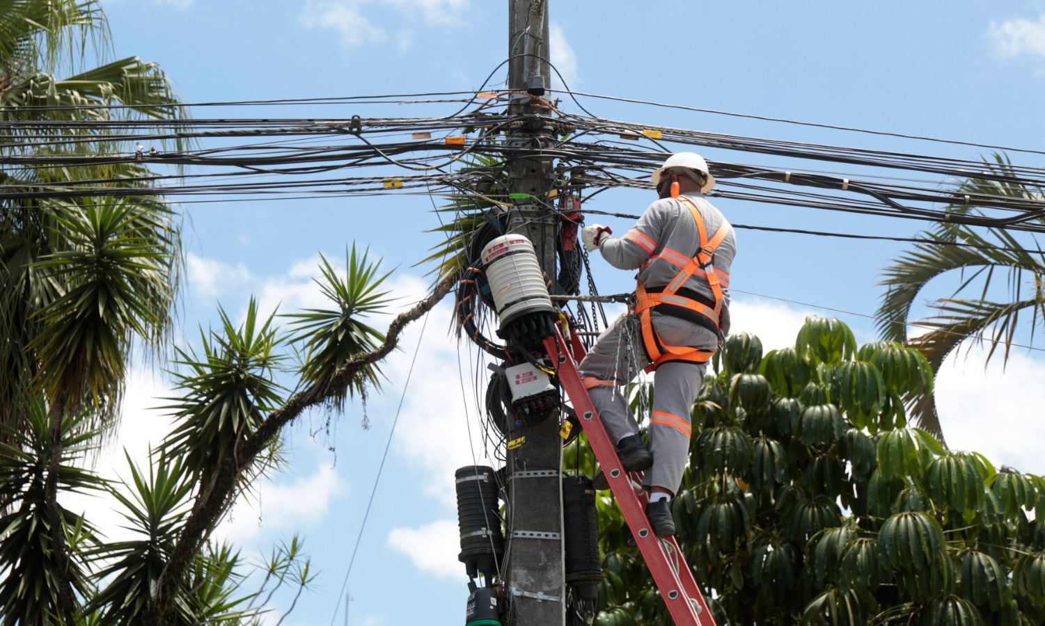 Aviso Da Celesc Desligamentos Programados De Energia Em 8 Bairros De