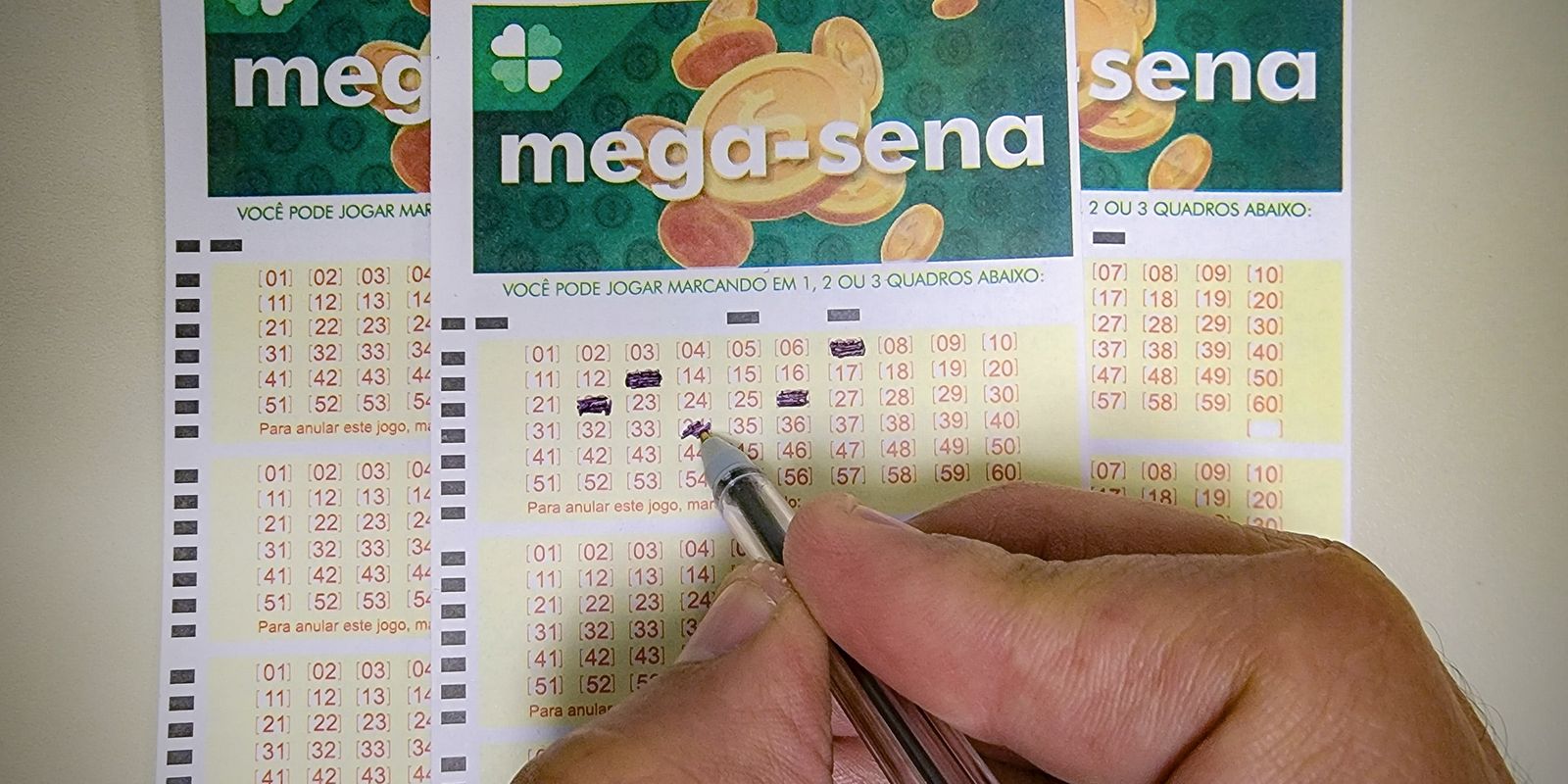 Duas apostas de Joinville acertam a quina da Mega-Sena