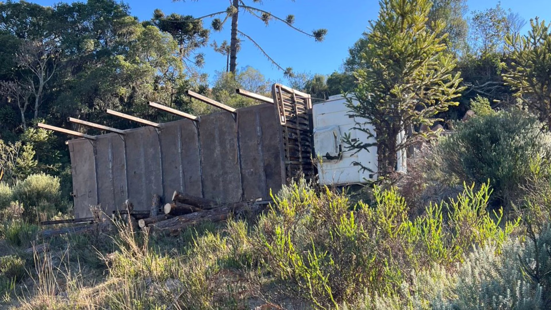 Motorista morre após caminhão cair em ribanceira na Serra de SC. – Foto: CBMSC/Reprodução