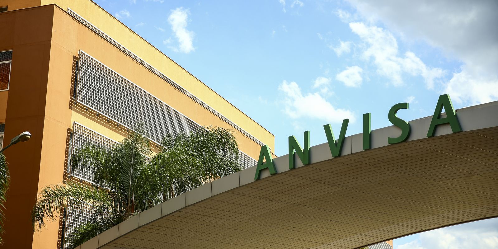 Anvisa aprova medicamento oral para tratar tumores cerebrais