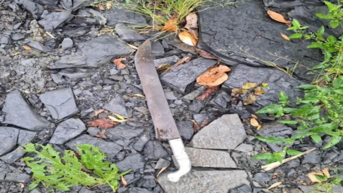 Homem armado com facão é baleado por PM durante surto agressivo em SC