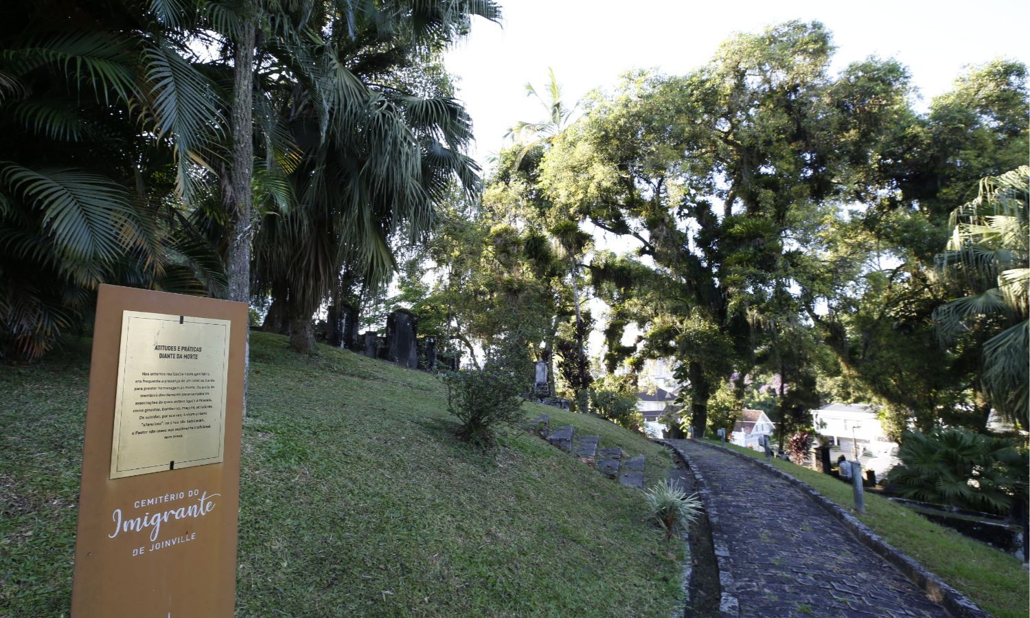Secretaria de Cultura e Turismo promove visita guiada e sessão de cinema no Cemitério do Imigrante