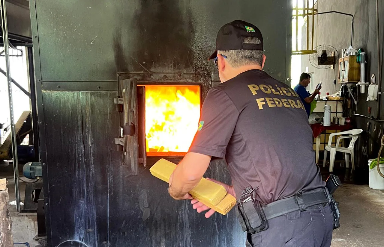 Polícia Federal incinera 6 toneladas de maconha apreendidas em caminhão de leite em SC – Foto: PRF / Divulgação