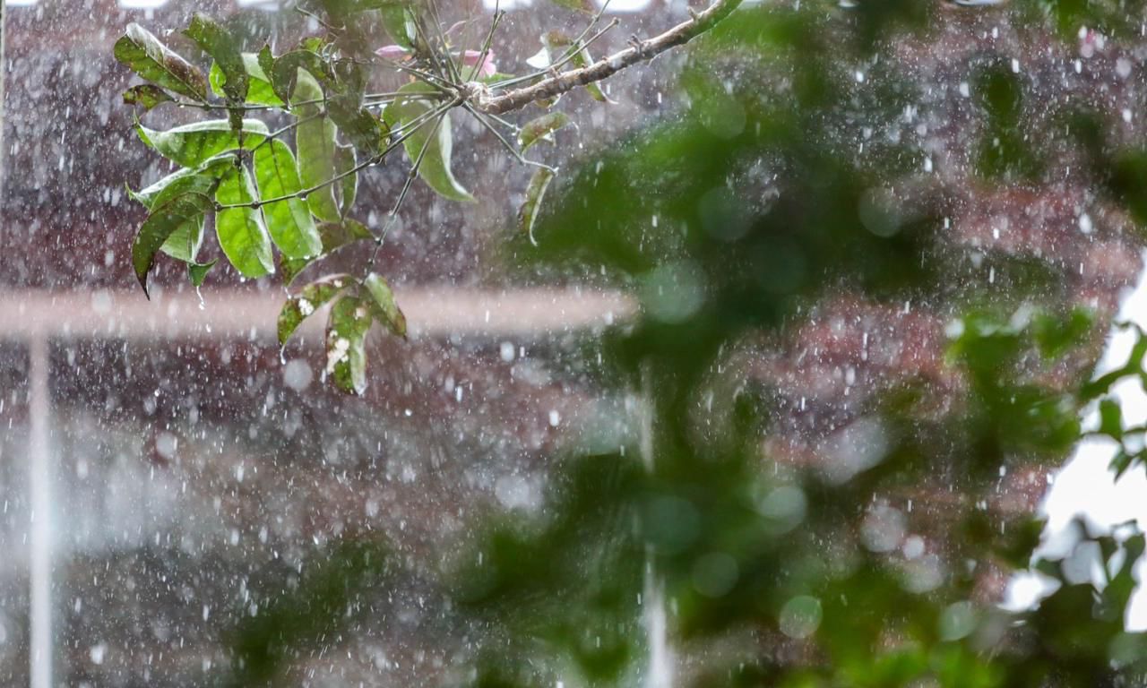 Defesa Civil alerta para frente fria e chuva persistente em SC