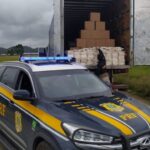 Caminhão com carga milionária de cocaína é apreendido na BR-101