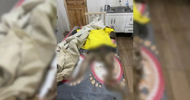 Idoso remove restos mortais da mãe em cemitério, leva para casa e deixa sobre a mesa, em Garuva