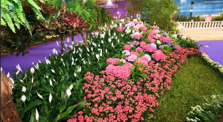 Festa das Flores de Joinville bate recorde de caravanas e expositores comemoram vendas