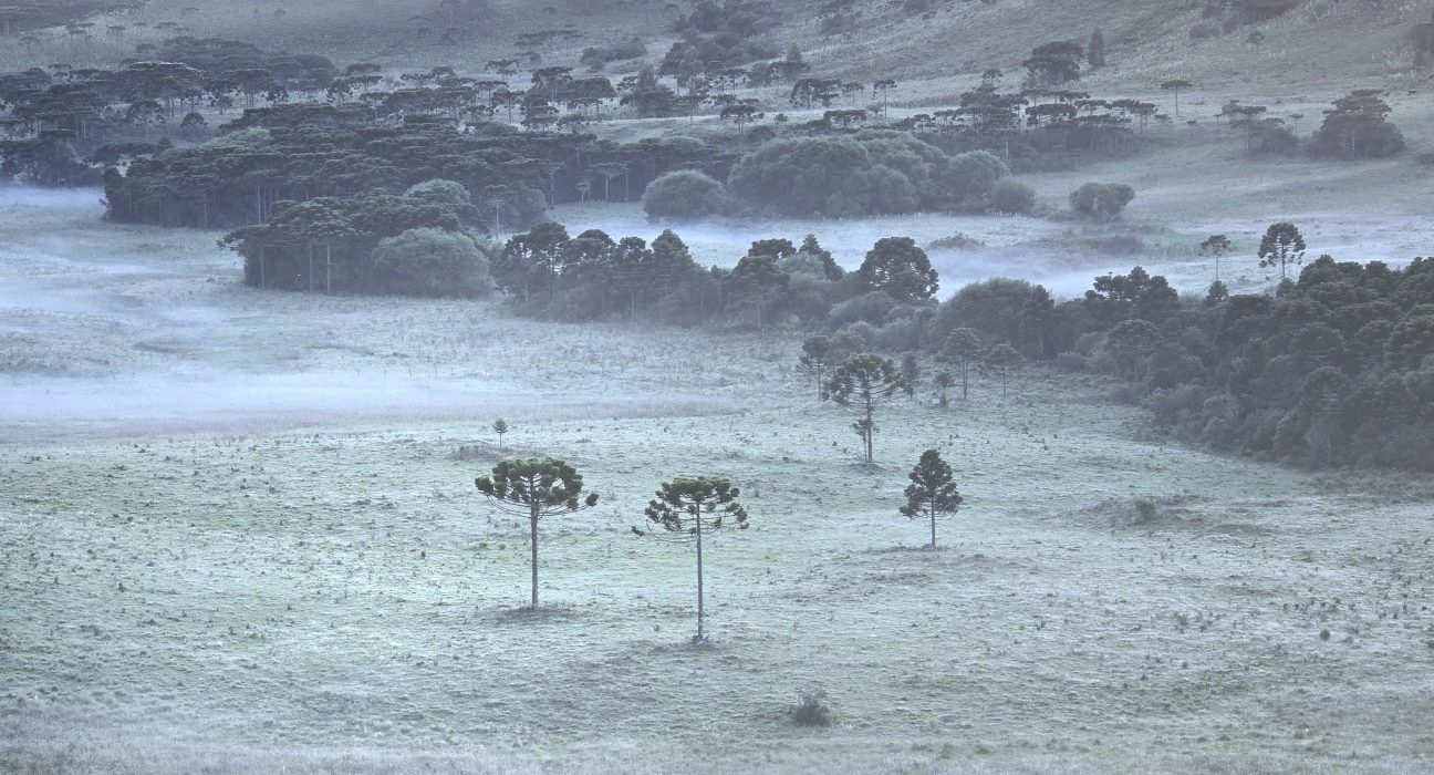 Serra catarinense registra geada