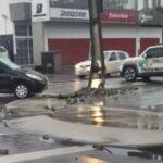 Carro bate em poste e deixa parte do bairro Floresta sem energia