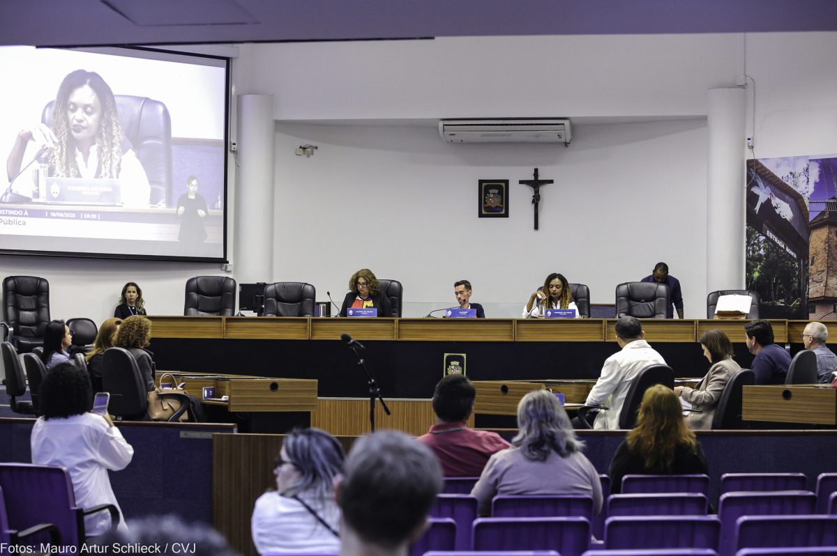 Comissão de Educação debate impactos da burocracia digital na saúde de servidores