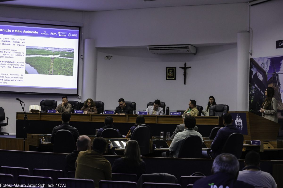 Consórcio da Ponte Joinville, que monitora animais silvestres, diz que obra não afetou a fauna