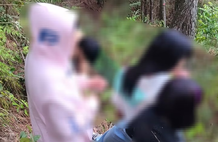 Quatro jovens desaparecem e são encontrados após horas de busca em mata de SC
