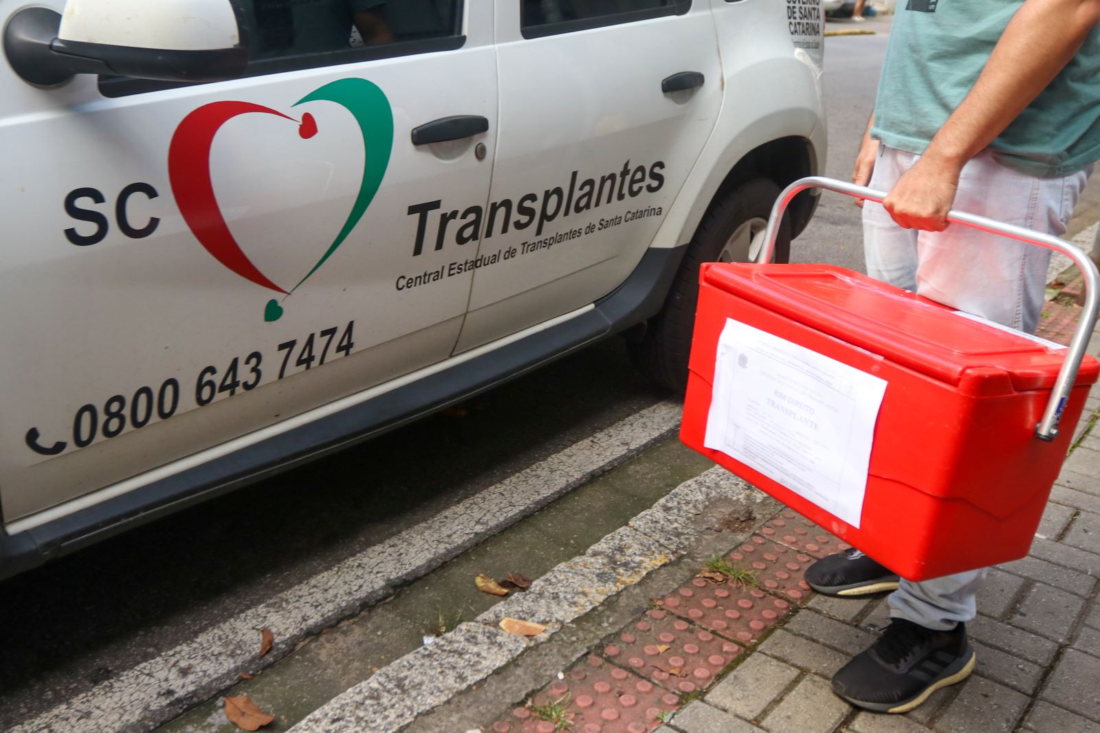 Setembro Verde: Santa Catarina é referência nacional na doação e transplante de órgãos