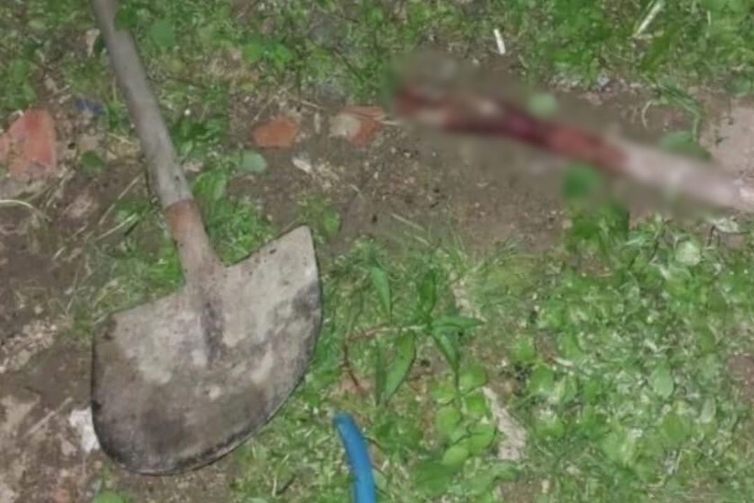 ‘Nunca mais bate em mulher’: homem invade casa da ex em SC e é morto com pauladas na cabeça