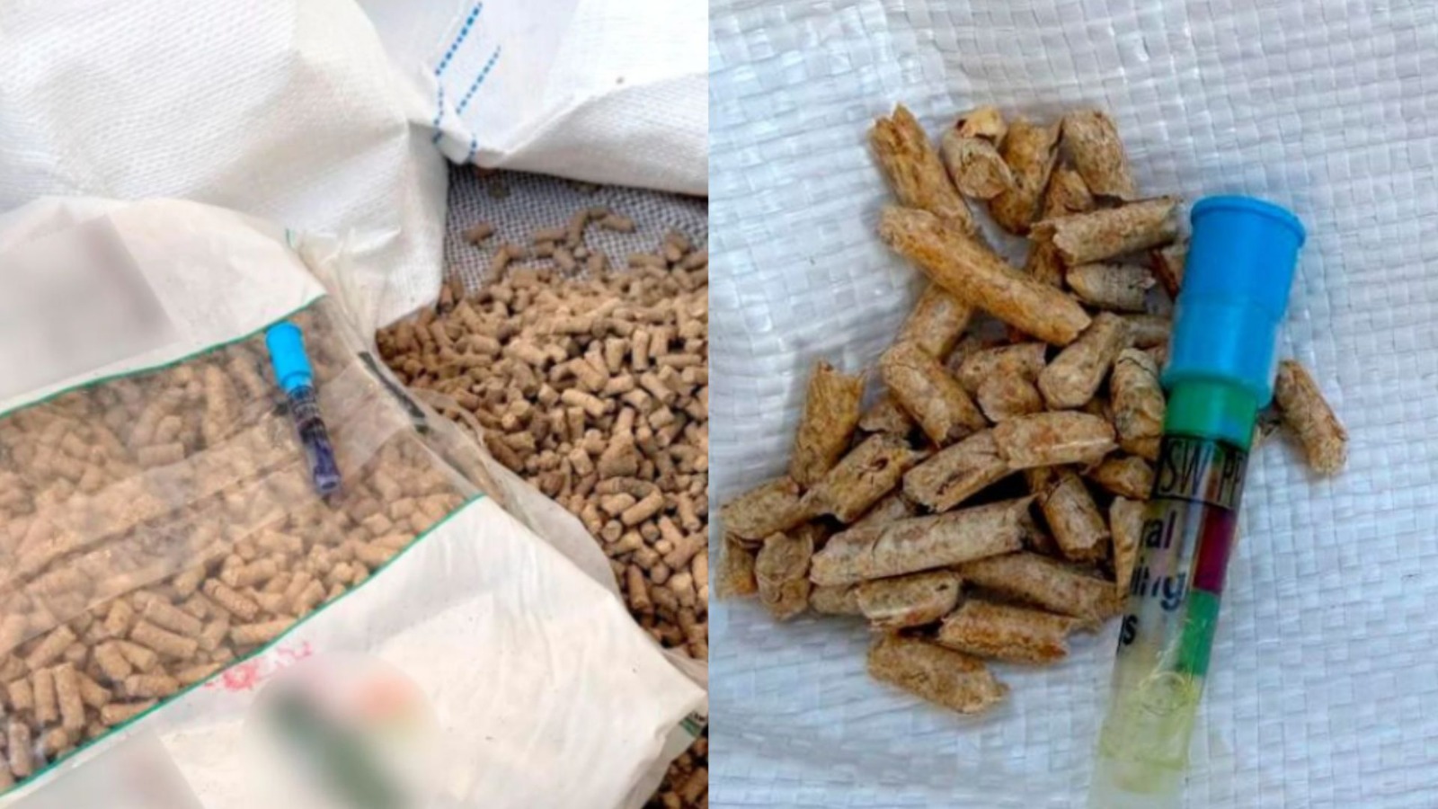 "Cocaína camuflada": Receita Federal descobre 1,6 tonelada de droga escondida em pellets de madeira em Porto de SC