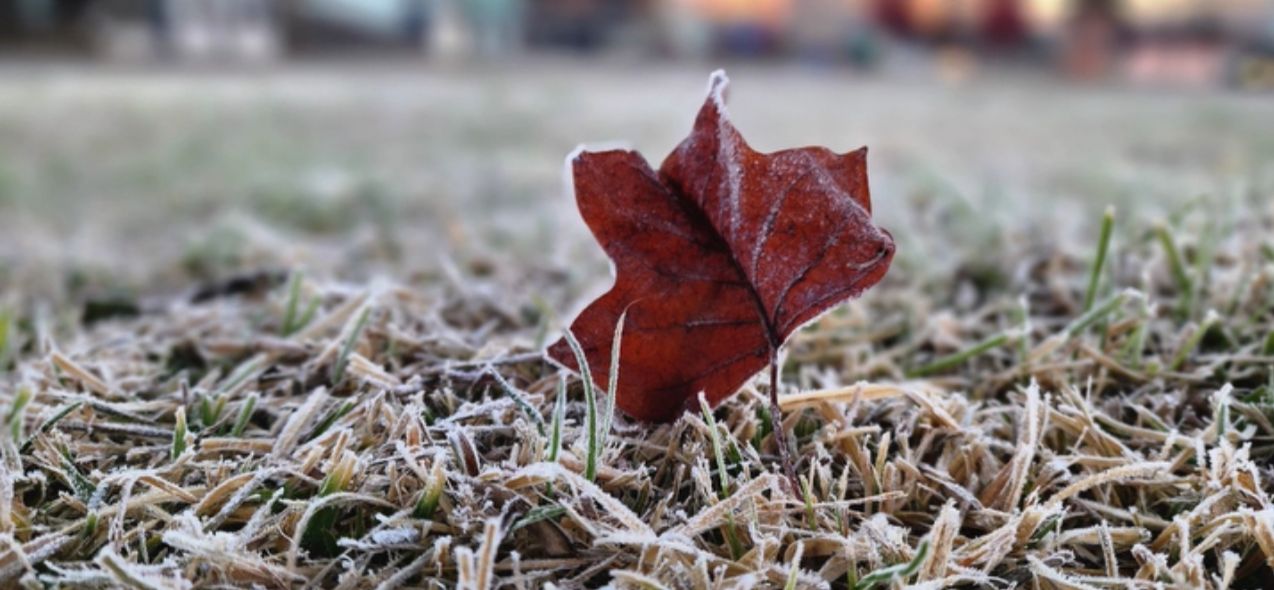 Frio intenso chega a Santa Catarina nesta quinta-feira (21) com mínimas de -5°C