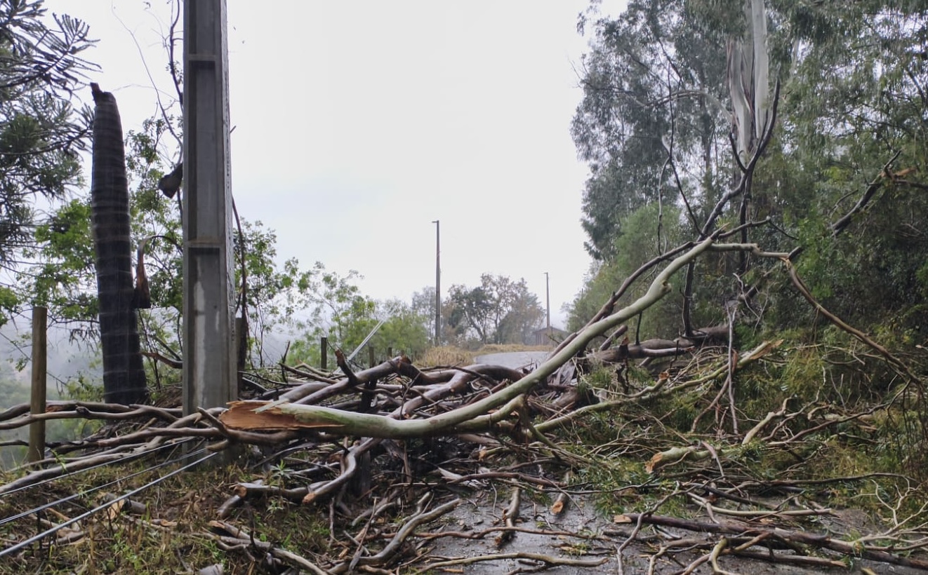 Municípios catarinenses decretaram situação de emergência após temporais com granizo