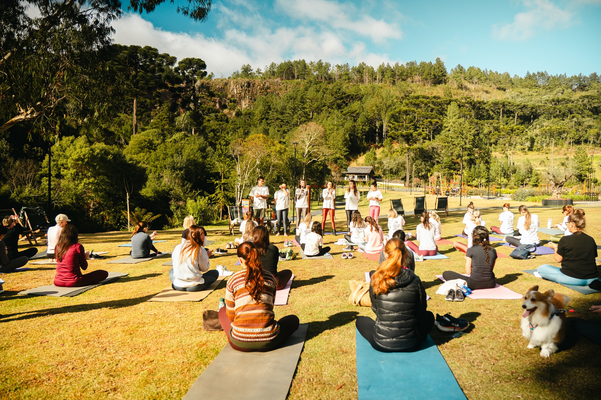 Foto horizontal mostra 26 pessoas sentadas sobre tapetes de EVA, dispostos em um grande gramado do Parque Paraíso das Araucárias. Elas estão de costas para foto. À frente delas estão seis pessoas - cinco mulheres e um homem, jovens. Todos usam camiseta branca. Uma das mulheres fala ao microfone. Ao fundo, aparecem muitas árvores, espreguiçadeiras e um playground. No canto direito inferior da foto, aparece um cachorro com pelos brancos e beges com a língua para fora.
