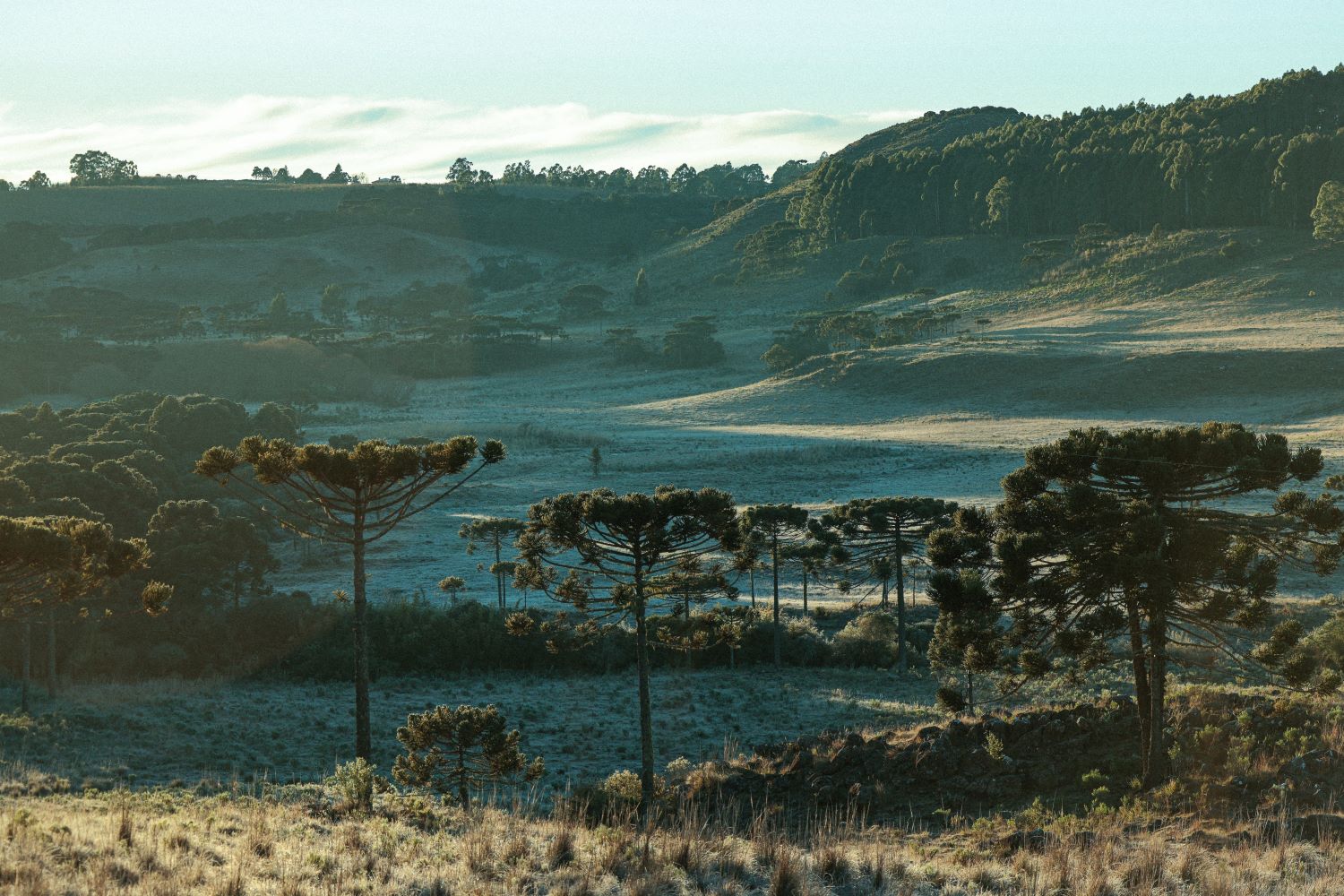 Temperaturas despencam em Santa Catarina a partir desta quinta-feira e frio se intensifica no fim de semana