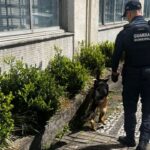 Guarda Municipal detém quatro pessoas em ação contra o tráfico de drogas no Centro 