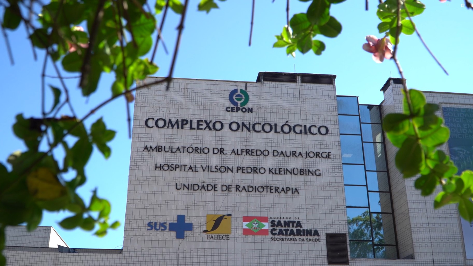 CEPON completa 52 anos com aumento de 40% nos transplantes de medula e 62 mil consultas médicas em 2026 